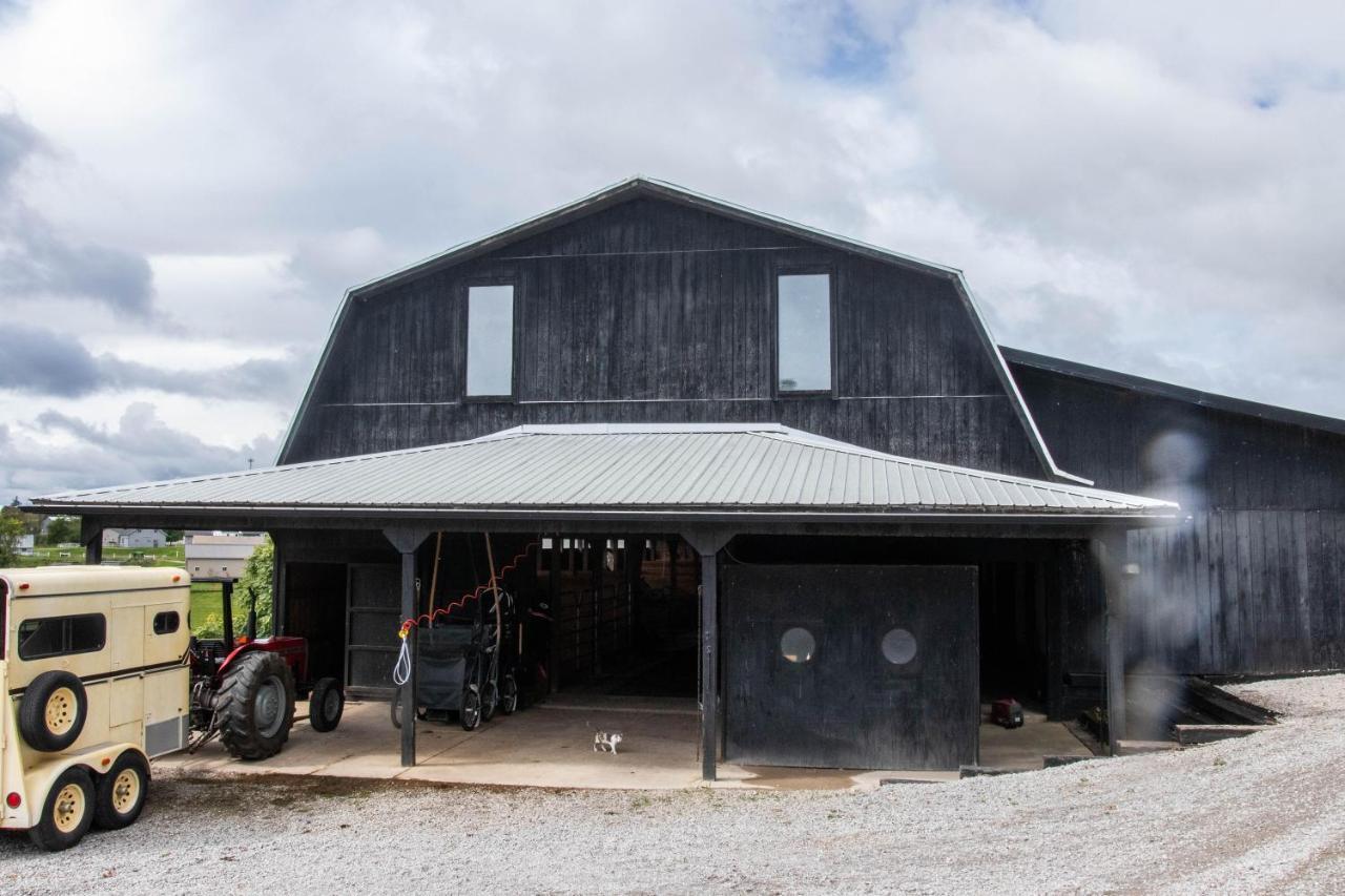 Farmhouse Of Blessings Dundee المظهر الخارجي الصورة