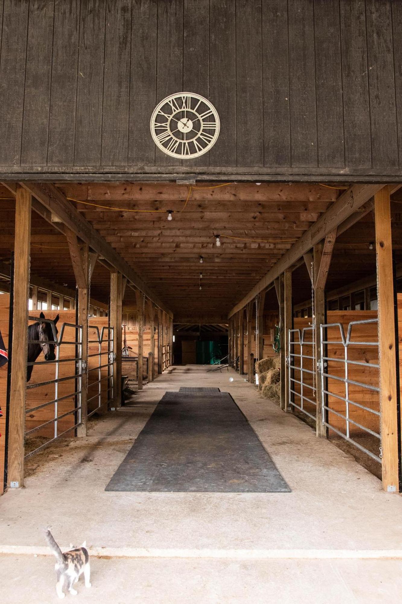 Farmhouse Of Blessings Dundee المظهر الخارجي الصورة